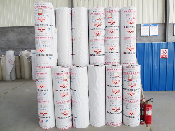 Polyethylene Polyester Waterproof Membrane